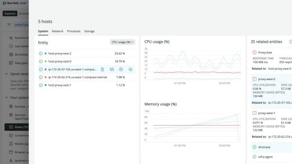 New Relic product screen capture
